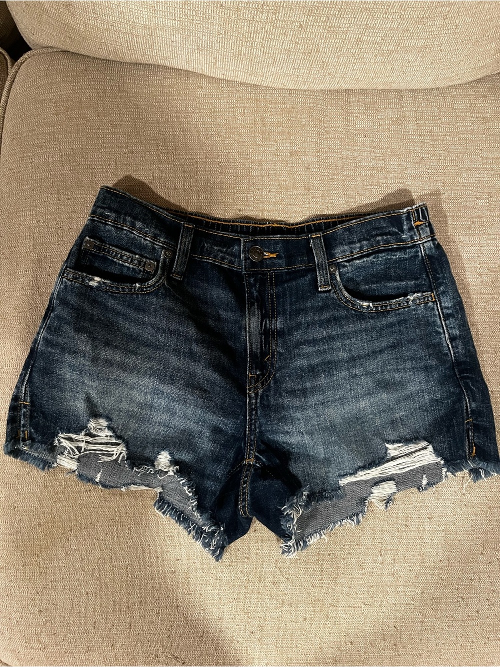 Aerie Dark Wash Distressed Denim Shorts